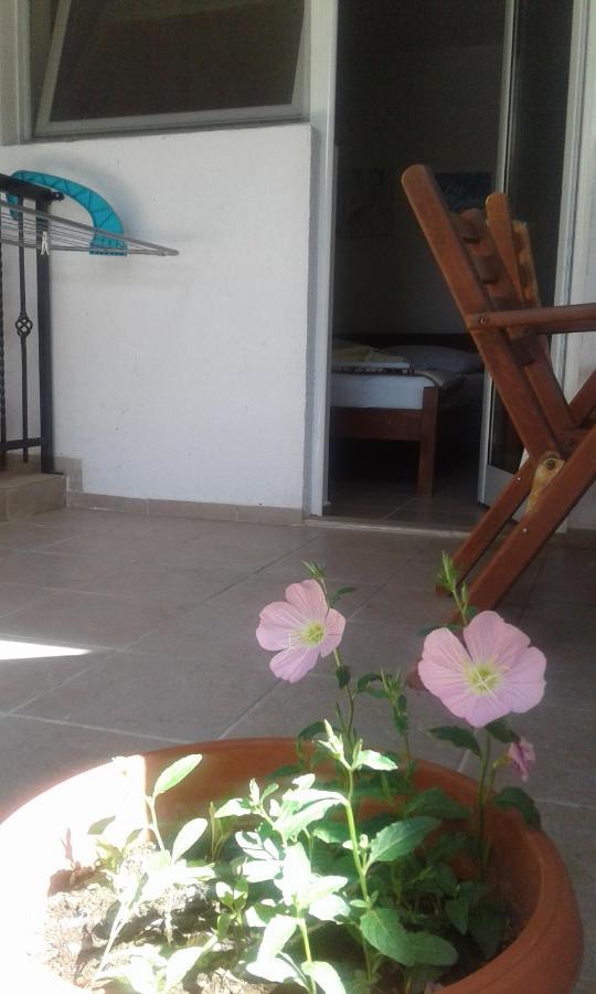 Villa Renesans Dojran エクステリア 写真